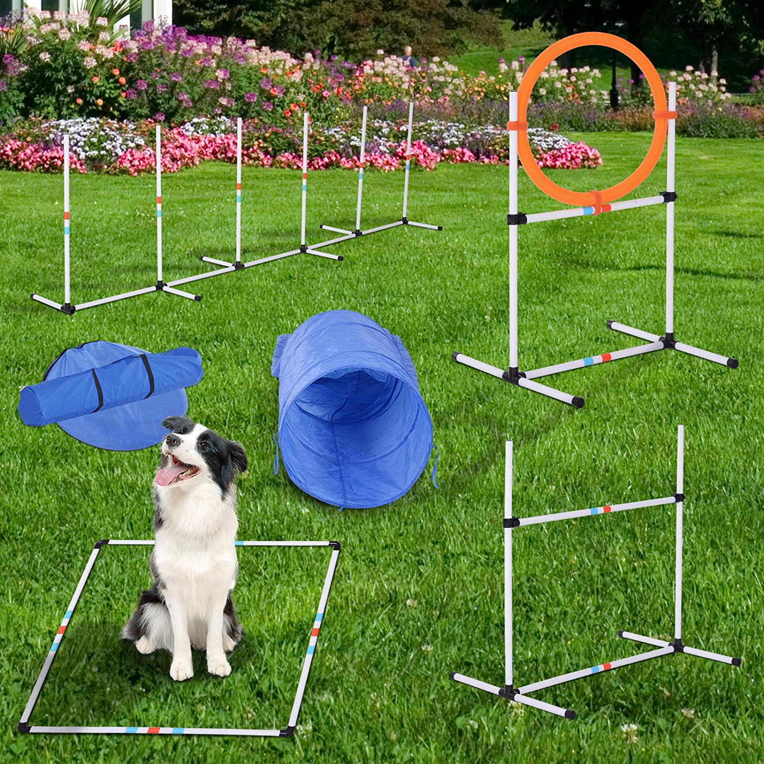 Whistle 3Pcs Flying Disc LUBORN Dog Agility Training Equipment Dog Obstacle Course for Backyard Jumping Ring 8 Pcs Weave Poles Pause Box High Jumps Starter Agility Set for Dogs 