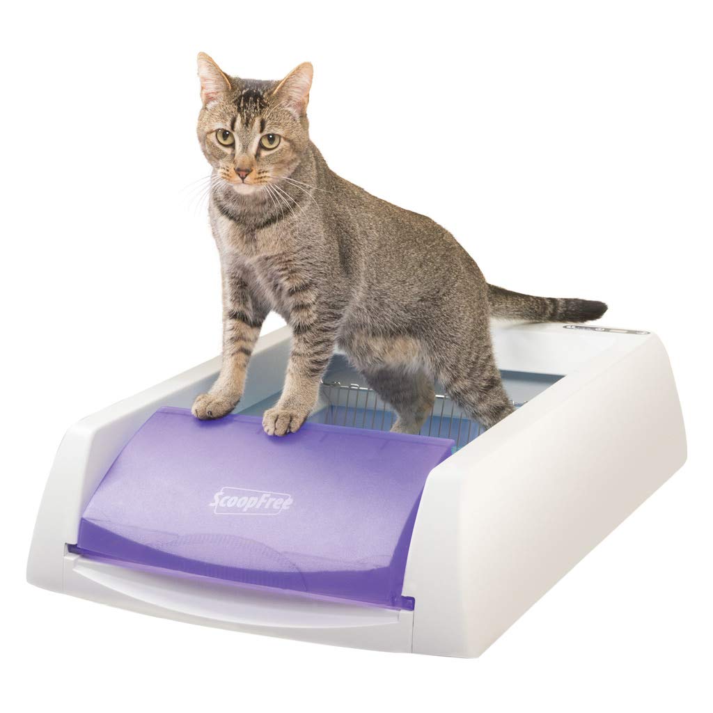 The Original GORILLA GRIP (TM) Premium Cat Litter Mat, XL Jumbo