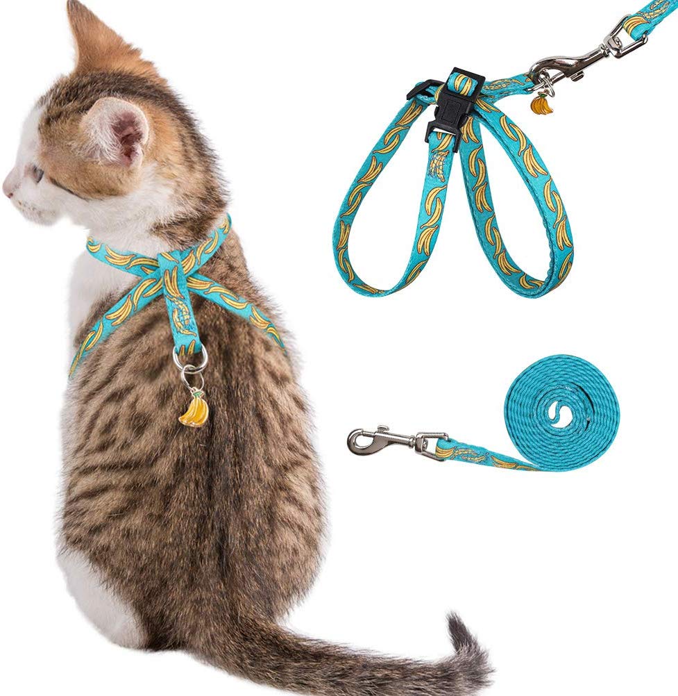 personalized cat harness