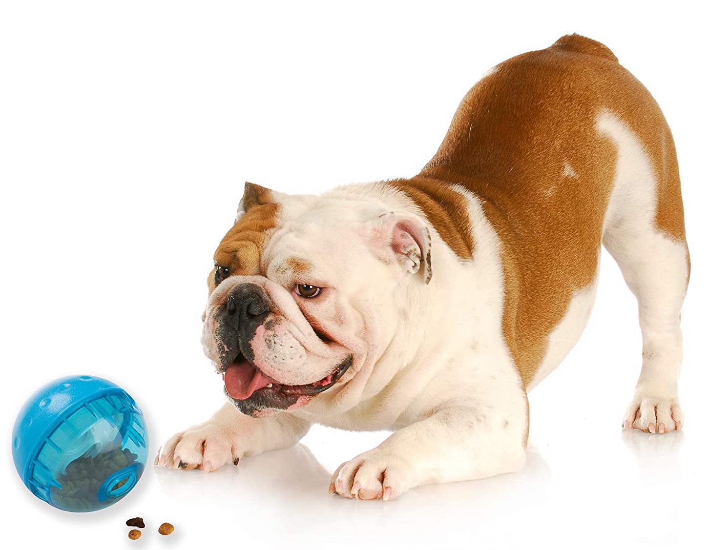 Dog Treat Balls Treat Dispensing Dog Enrichment Toys Pet Puzzle Toys Dog  Slow Feeder Ball For Aggressive Chewers S/M/L Cats Dogs - AliExpress